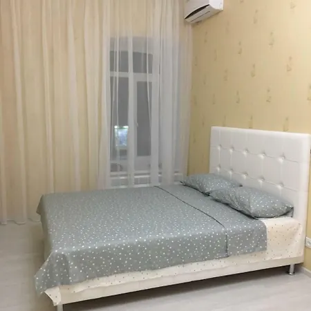в центре, екатериненская 75 アパート *